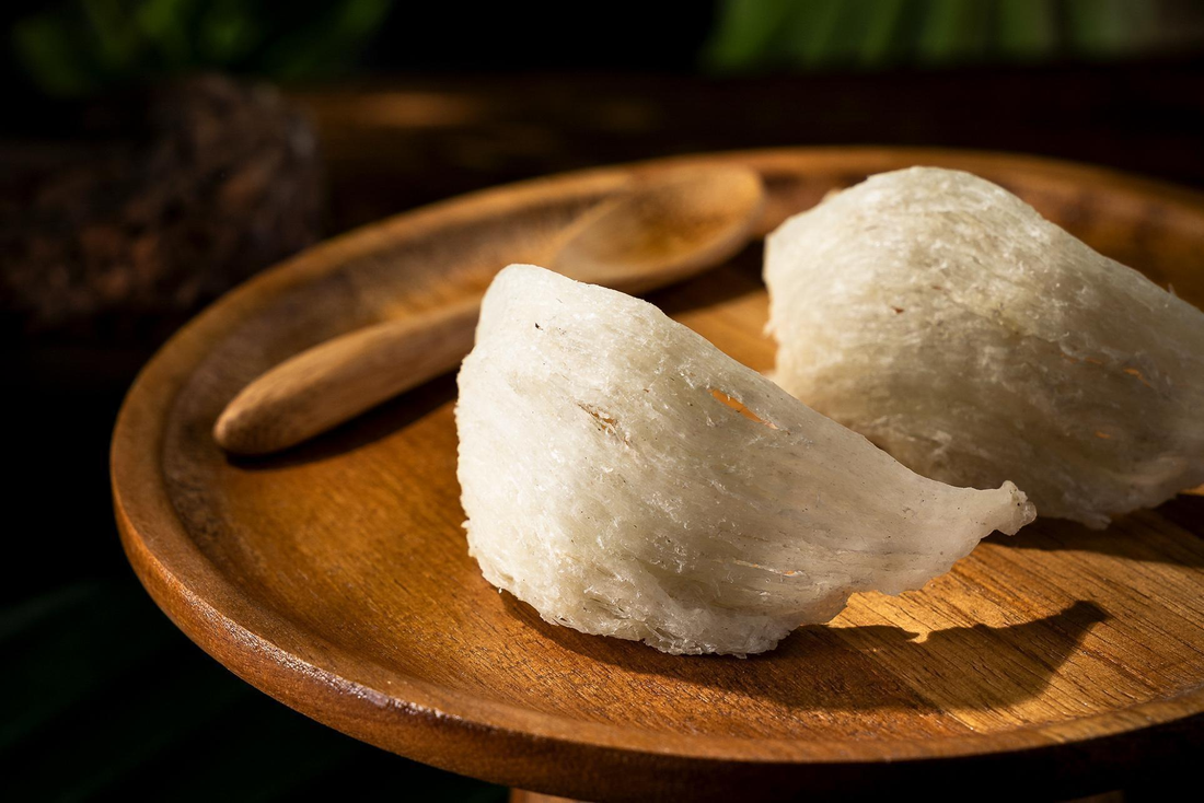 Why Bird’s Nest is the New Skincare Super Ingredient